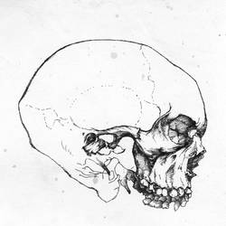 Rapidograph skull