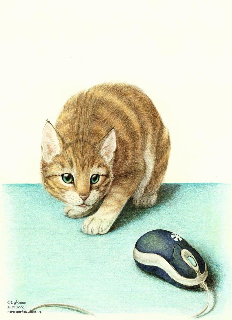 Cat and mouse