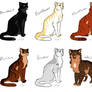 Point adoptables AUCTION