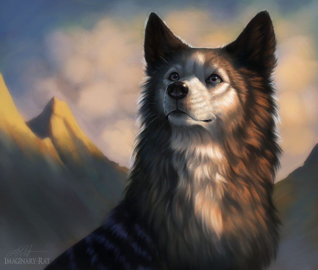 Queen of Skaldron by ImaginaryRat on DeviantArt