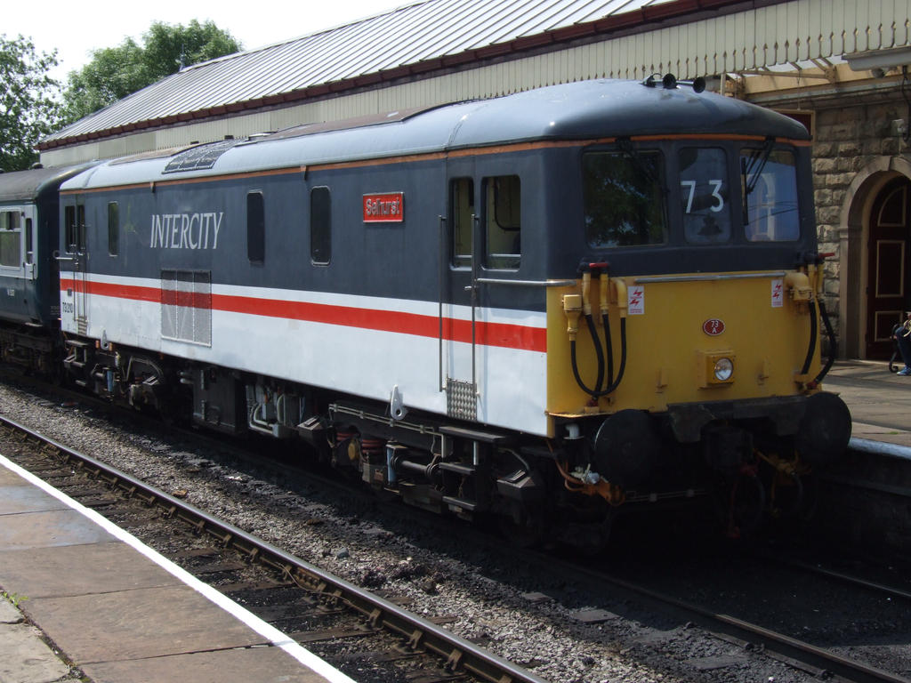 73120 Selhurst at Ramsbottom (05/07/2013)