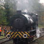 WD 132 Sapper, Ramsbottom Goods Sidings