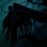 The Raven