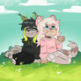 US? YCH FINISHED