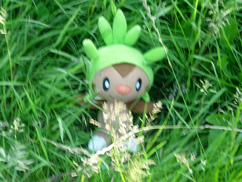 A Wild Chespin appeared!