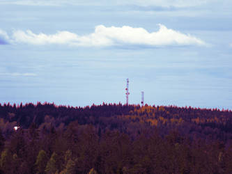 Masts in color-woods by sheveroone