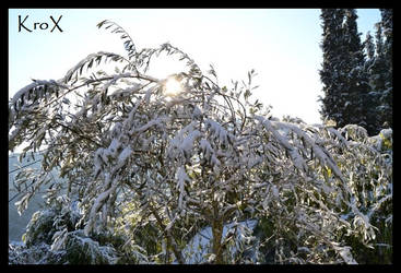 Neige Nicoise!