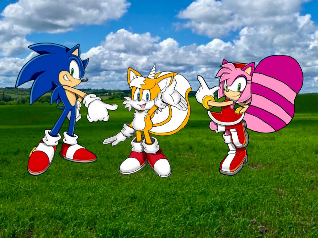 Sonic surrenders to Amy Rose [art by: DanielasDoodles] : r/SonicTheHedgehog