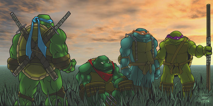 TMNT feilds