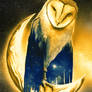 Owl and Moon