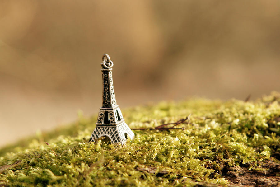 Le Petit Paris by CanonAdventures Le Petit Paris by CanonAdventures