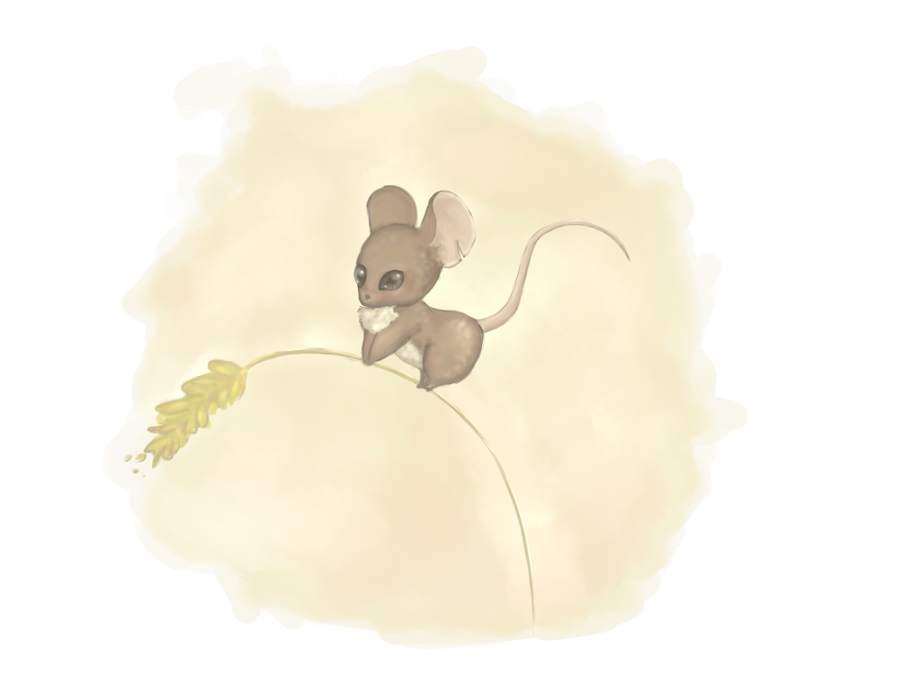 Little mouse