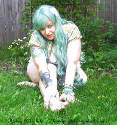 Spring Flower 5