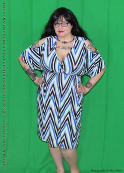 Auction 6: Zig Zag Dress
