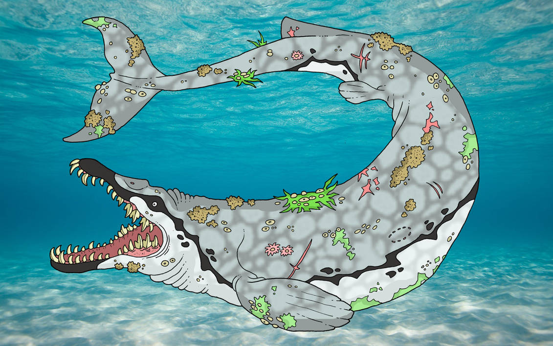 Basilosaurus Deviantart Basilosaurus by SommoMaestroDracorex on DeviantArt