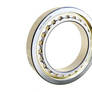 Single-Row Cylindrical Roller Bearings