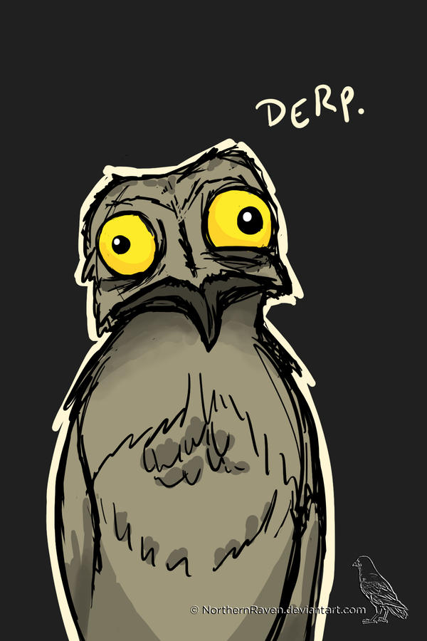 Potoo