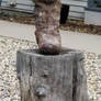 Ode to the Boot