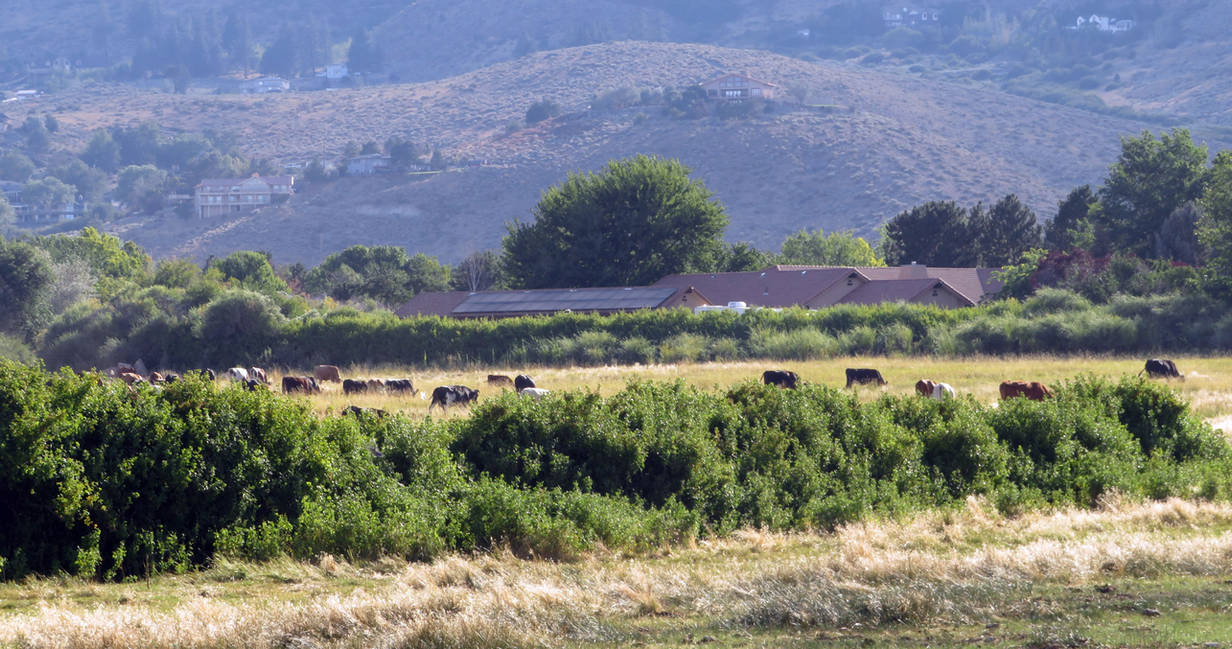 Jim Anderson Ranch Active Anderson Family Ranch by whatevercomestruer on DeviantArt
