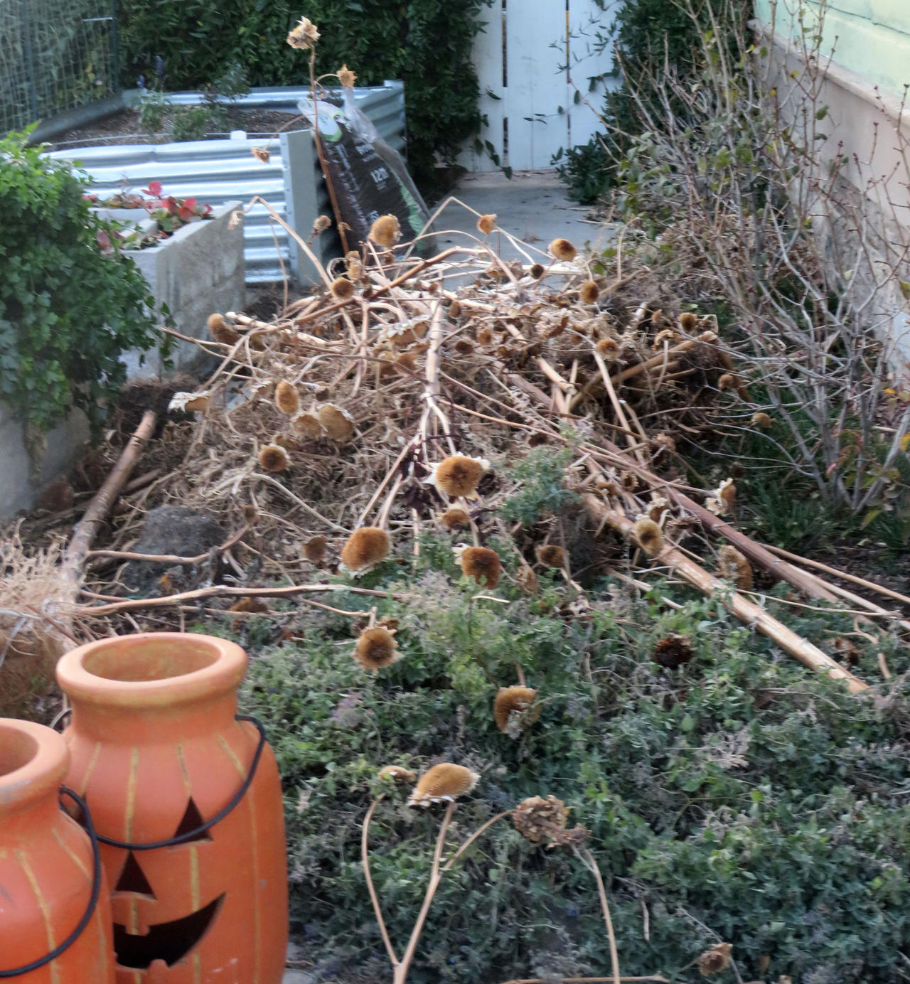 Sending Dead Flowers
