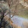 River Flows