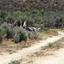 Cemetery
