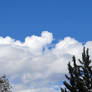 Chasing the Clouds