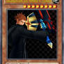 Organization XIII Member V: Lexaeus