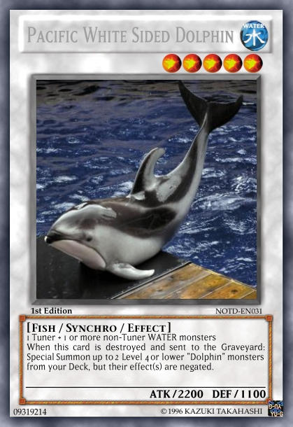 dolphin yugioh card Yu-Gi-Oh! - Chrysalis Dolphin (POTD-EN006) - Power of The Duelist may be 1st or Unlimited Edition Yu-Gi-Oh! Rush Duel/Deck Modification Pack