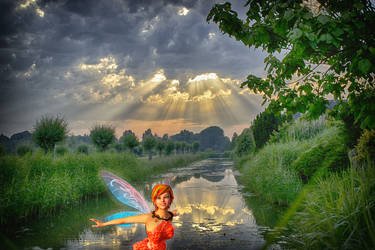 Cloudy Summer Evening