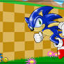 Sonic 17