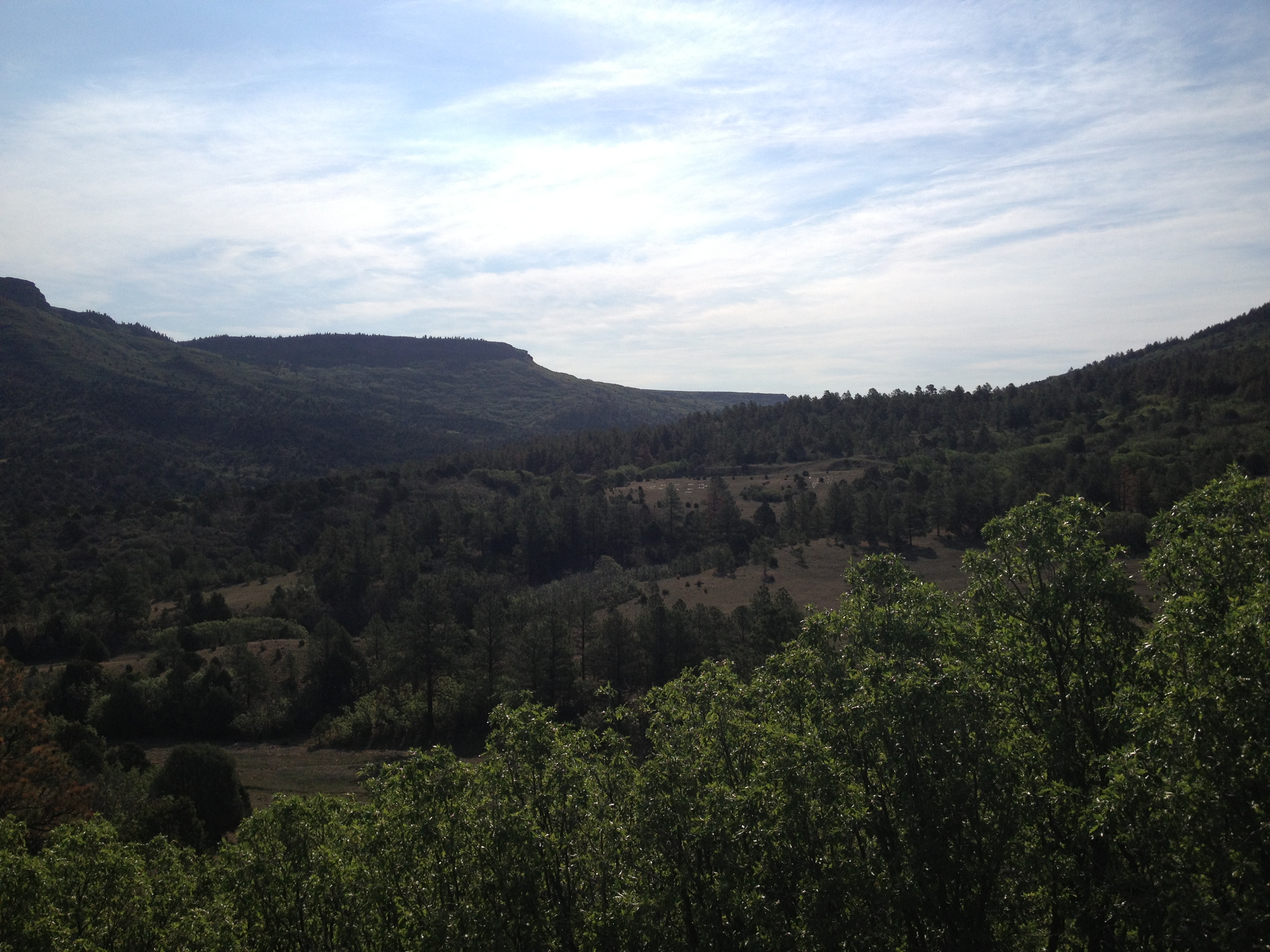 The border of New Mexico and Colorado 2