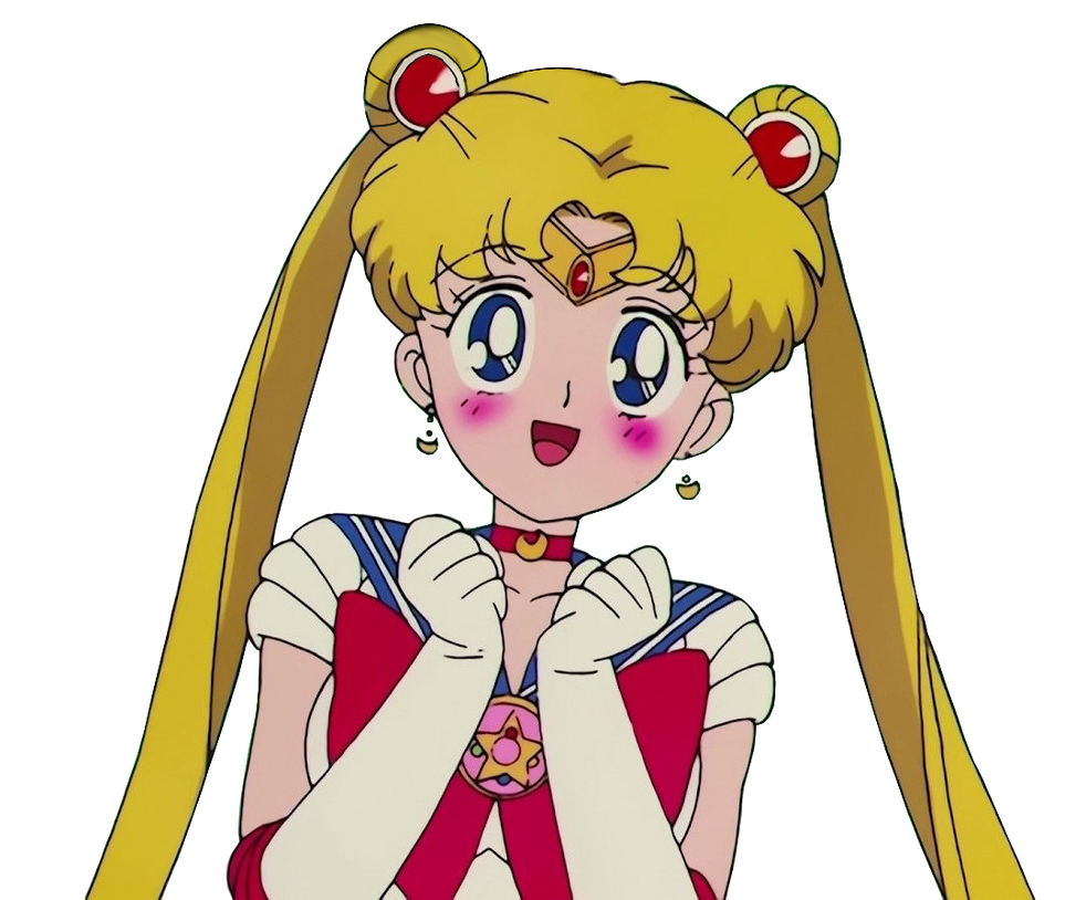 Usagi Render 10 by Mugenbine on DeviantArt