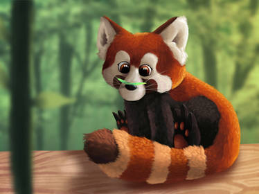 Red panda! -