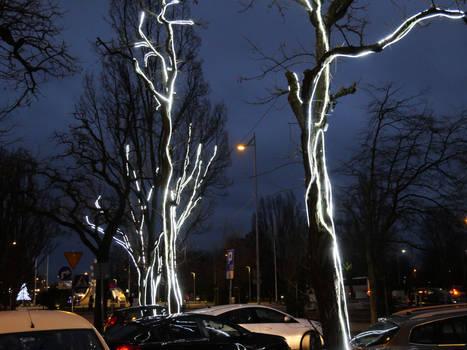 Lights Trees Cars