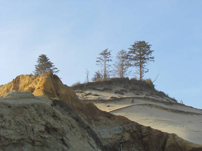 Atop the Sand Dunes