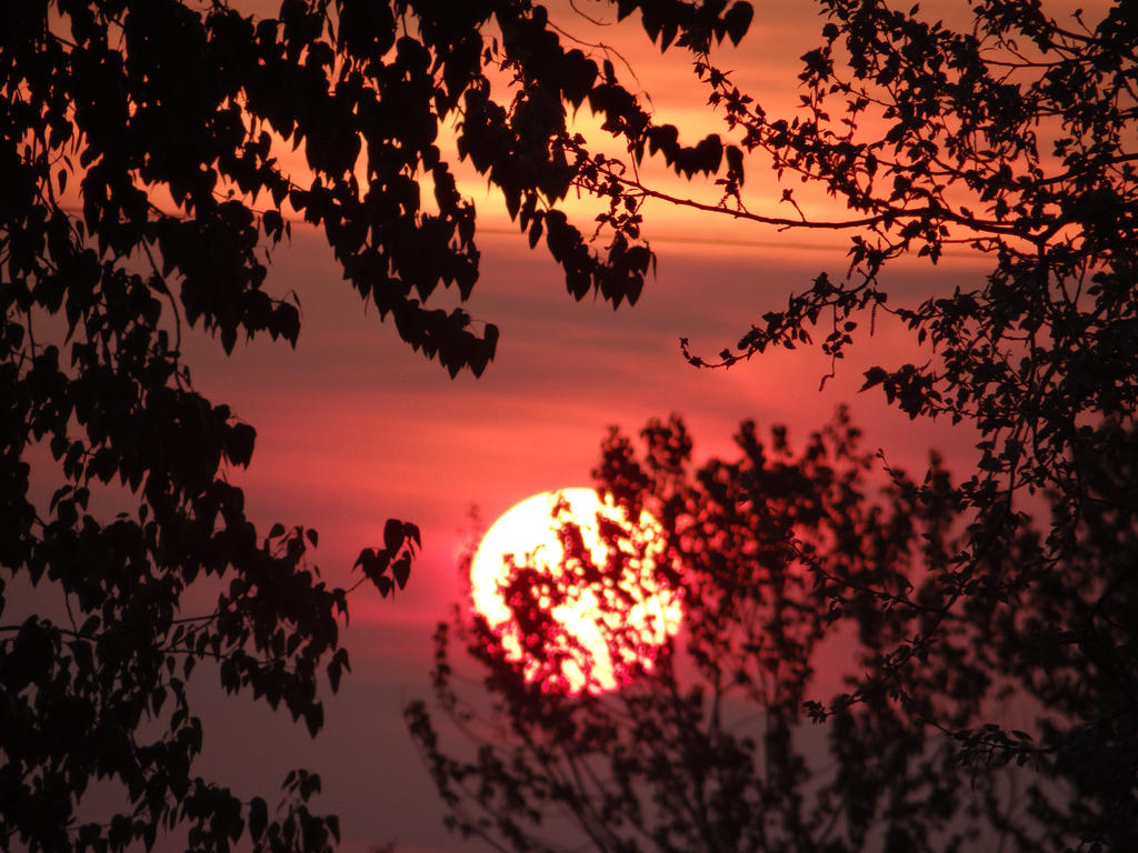 Rubescent Sunset Red Sunset by Whimseystock on DeviantArt