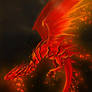 Phoenix Dragon