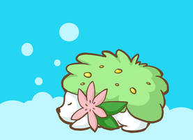 Shaymin
