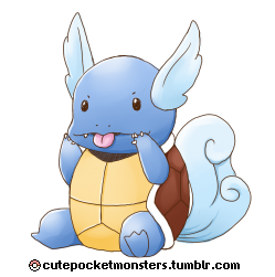 008 - wartortle