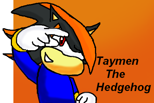 Taymen The Hedgehog Art