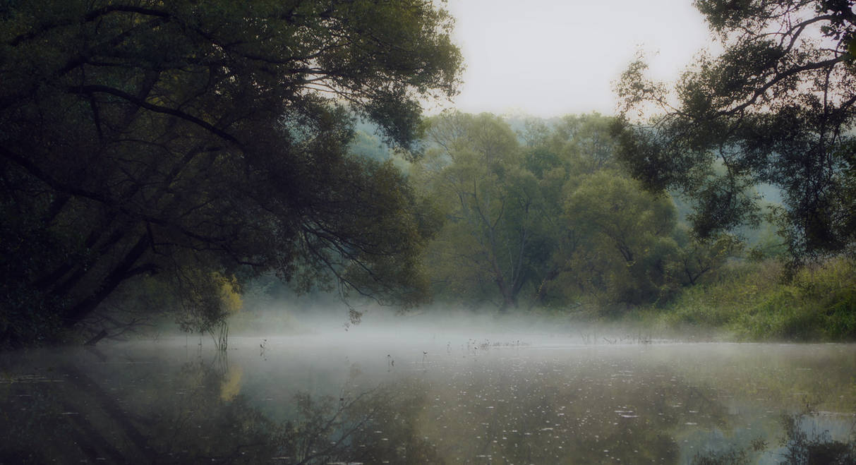 foggy morning by Ilya245