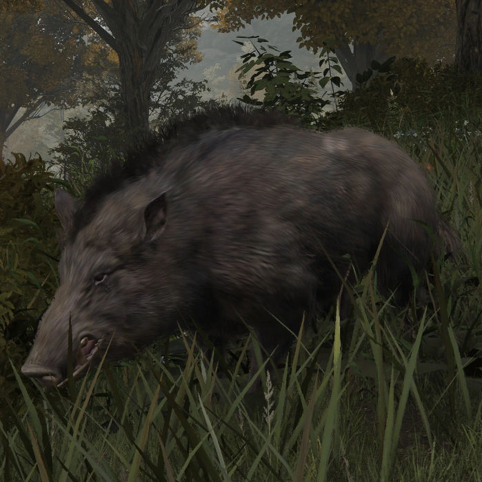 Boar Monkey Deviantart Boar by Tiagos2003 on DeviantArt