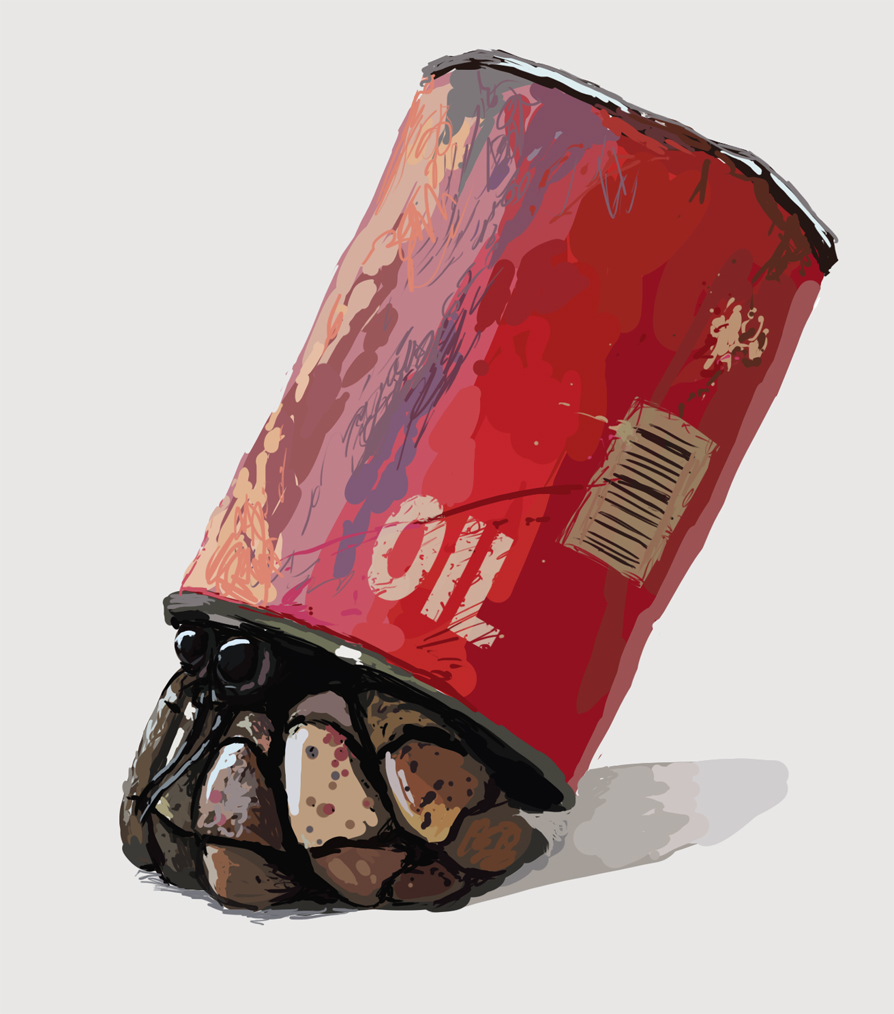 Color study :  Oil Crab