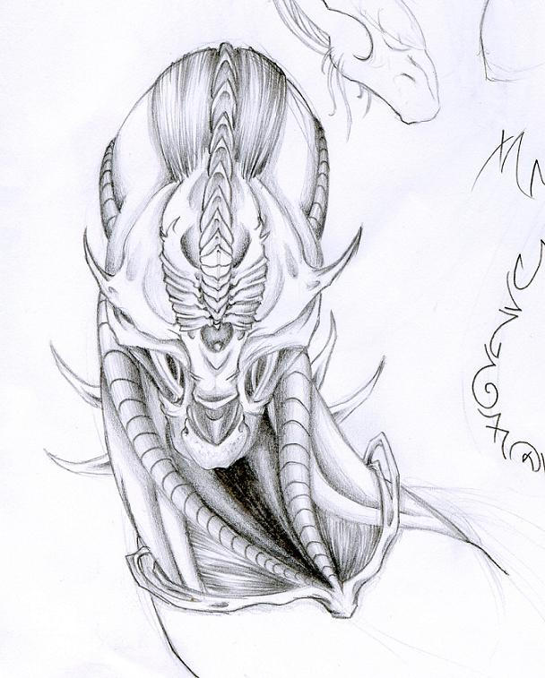 Blank by LadyBloodFlower on DeviantArt