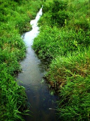 Pretty Stream