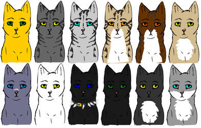 Guess The Warrior Cat And Get A Watch