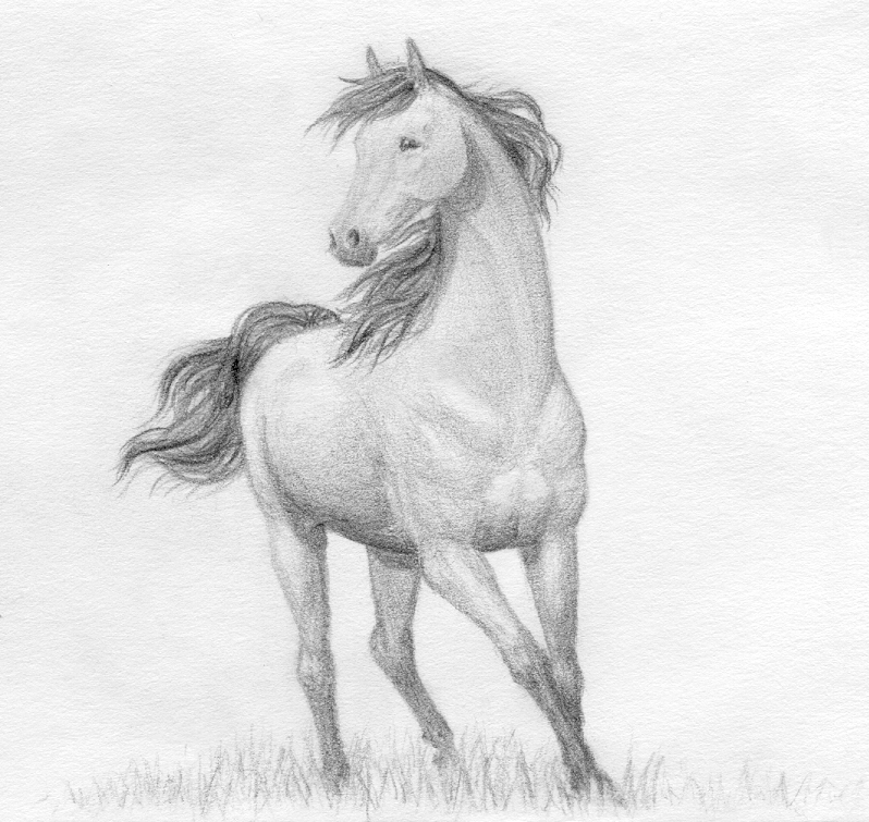 Horse