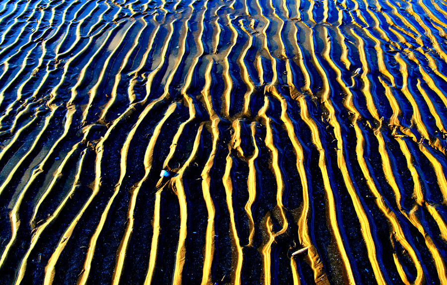Image Examples Things With Ridges Ridges by superflyninja on DeviantArt