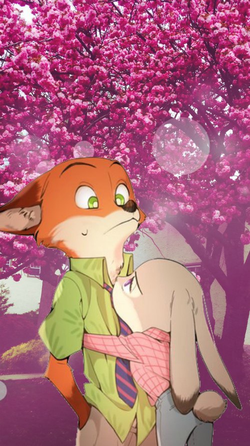 Nick x Judy